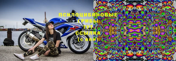 прущая мука Армянск
