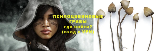 винт Арсеньев