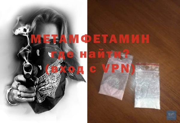 шишки Покачи